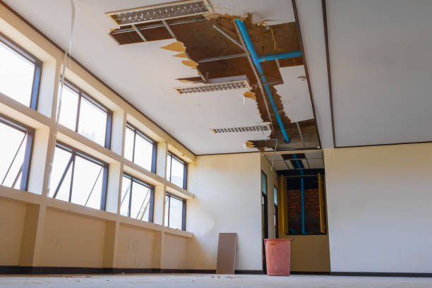Best Emergency water damage restoration  in Grain Valley, MO