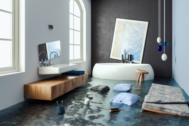 Best Residential water damage restoration  in Grain Valley, MO