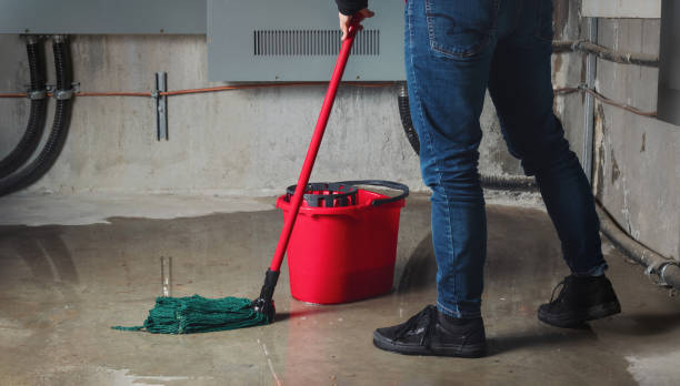 Best Commercial water damage restoration  in Grain Valley, MO