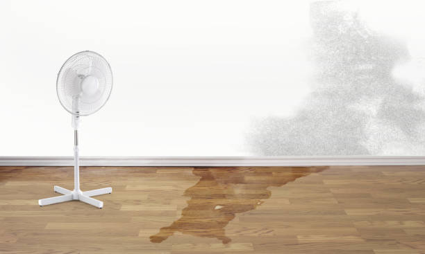 Best Water damage restoration near me  in Grain Valley, MO