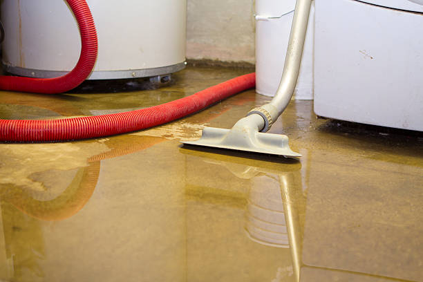 Best Fire Damage Restoration  in Grain Valley, MO
