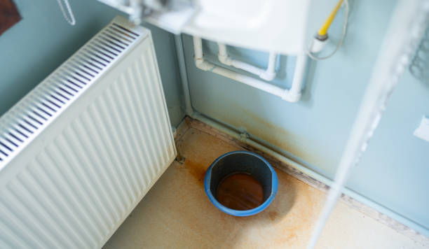 Best 24-hour water damage restoration  in Grain Valley, MO